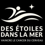 Des-etoiles-dans-la-mer